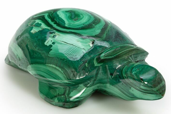 Flowery, Malachite Turtle Carving - DR Congo #317784